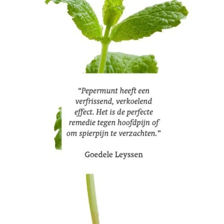 RainPharma Essential oil peppermint